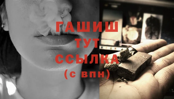 PSILOCYBIN Бородино