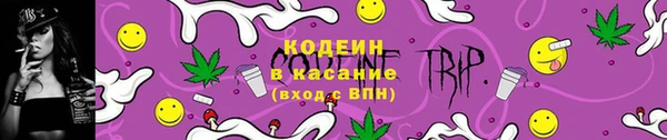 спиды Богородицк