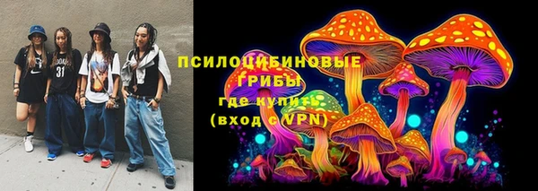PSILOCYBIN Бугульма