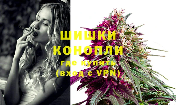 спиды Богородицк