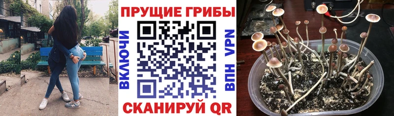 блэк спрут онион  Качканар  Галлюциногенные грибы ЛСД 